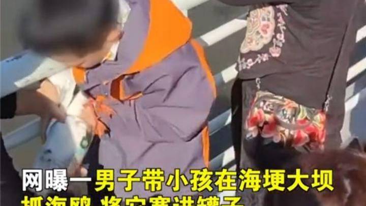 家长带男孩抓海鸥硬生生塞进罐子,你认为是故意的吗?