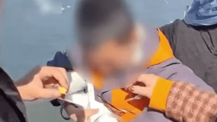 父母帮“熊孩子”抓海鸥塞进罐子,你能接受这种行为吗?