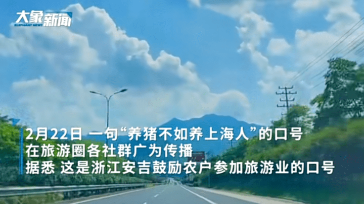 养猪不如养上海人这句话,你认同吗?