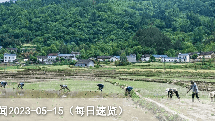 你喜欢看孩子们的样子吗?
