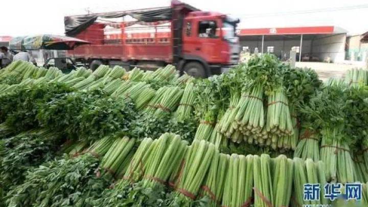 老农卖不合格芹菜获利14元被罚10万,你怎么看?