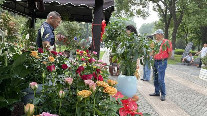 国庆赏繁花秋韵,你去过南京的神策门公园吗?