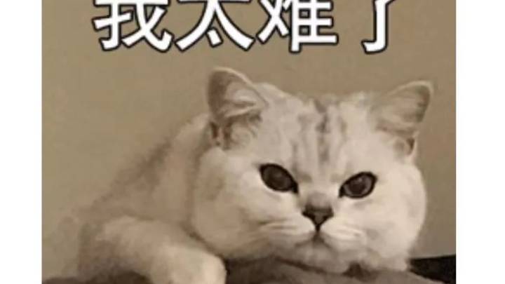 看完不会穿裤子了,这种说法有道理吗?