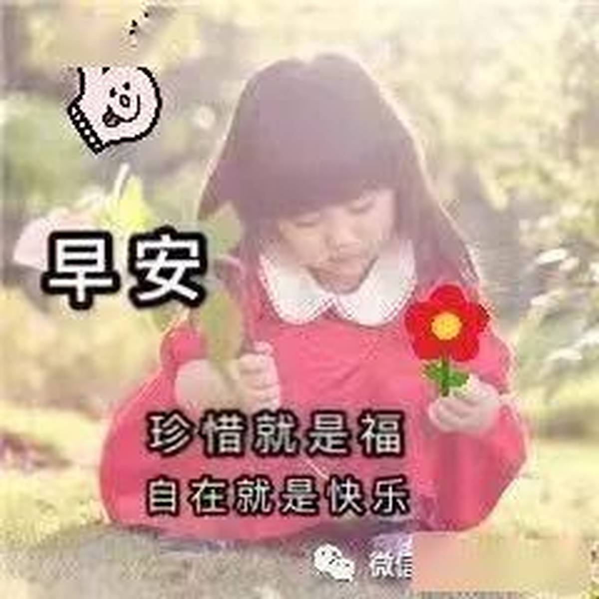 非常可爱宝宝萌娃早上好表情图片 阳光暖心的早安祝福语