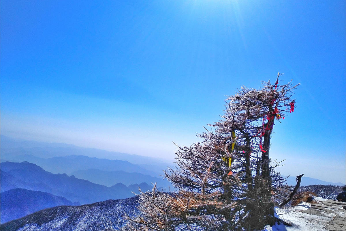 《秦岭神树》的真实性无从考证,秦岭的重要性却人尽皆知