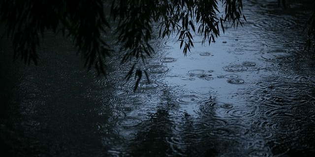 原创蒋捷这首经典的《秋夜雨》,写得很是伤感,每一句都充满了孤独