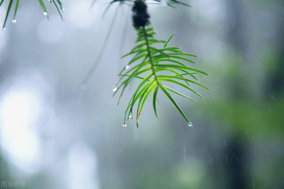 雨停了城市进入了雨后的时光时光悠悠漫长又短暂