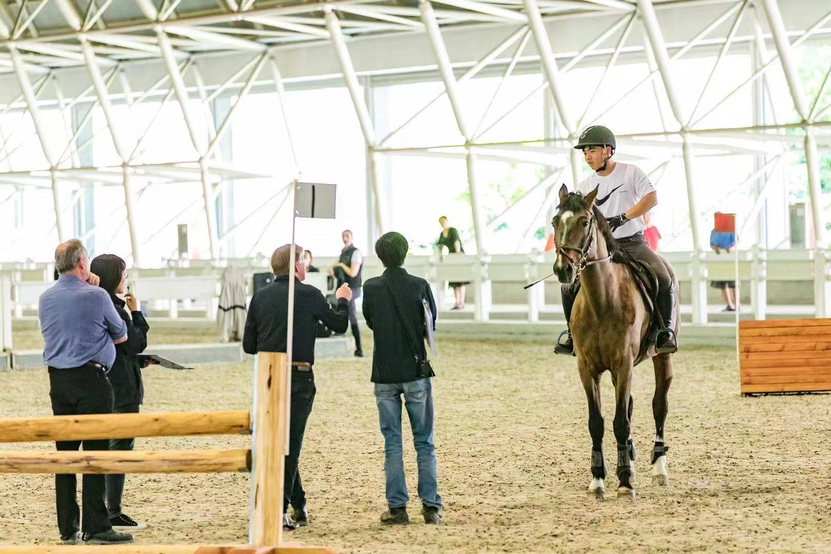 江苏省马术协会第一期toptalent青少年马术集训营成功举行