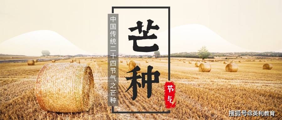 英利教育祝您:芒种,收获人生最精彩的季节!