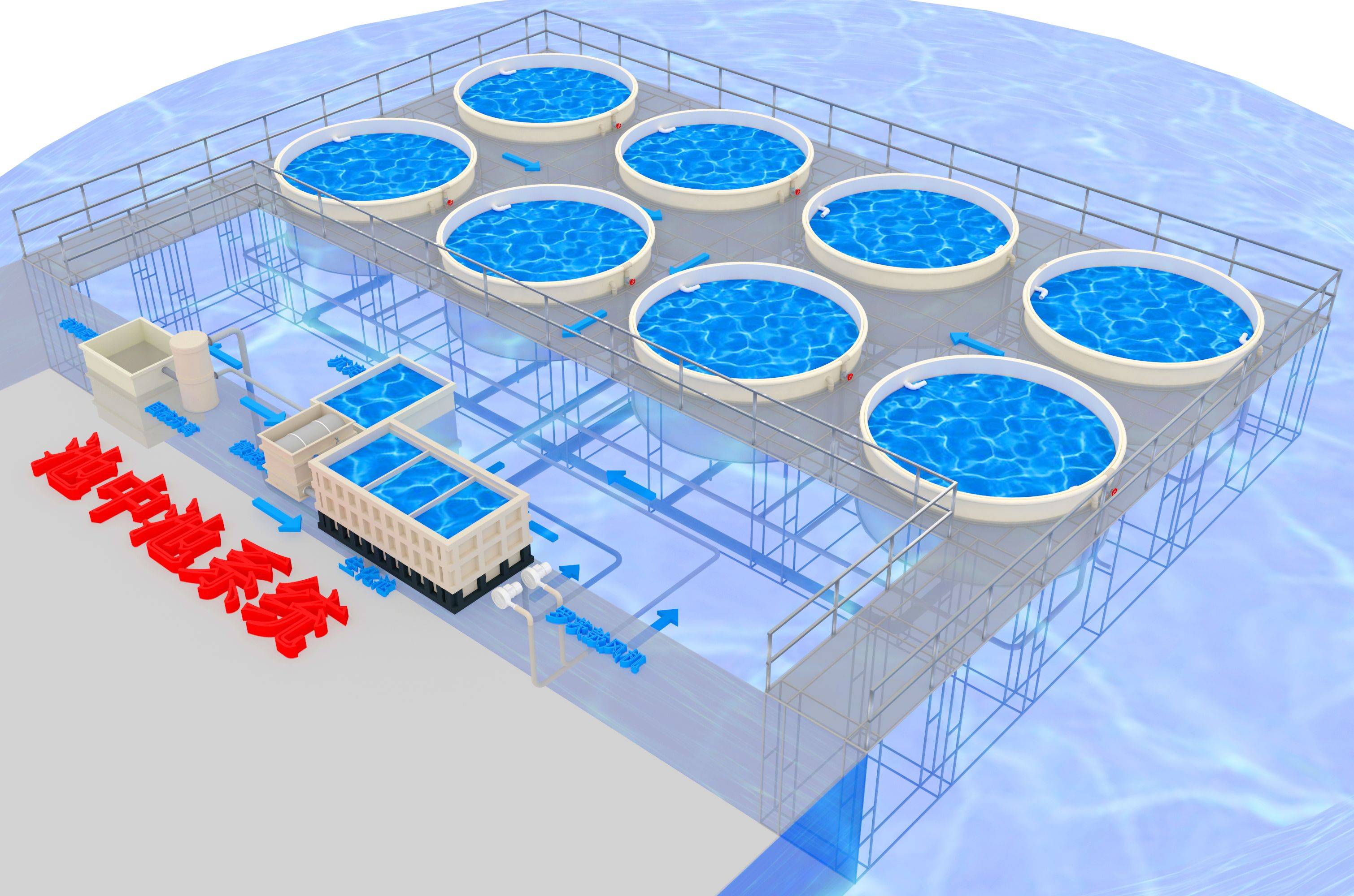 生态循环水养殖系统——开启水产养殖新模式