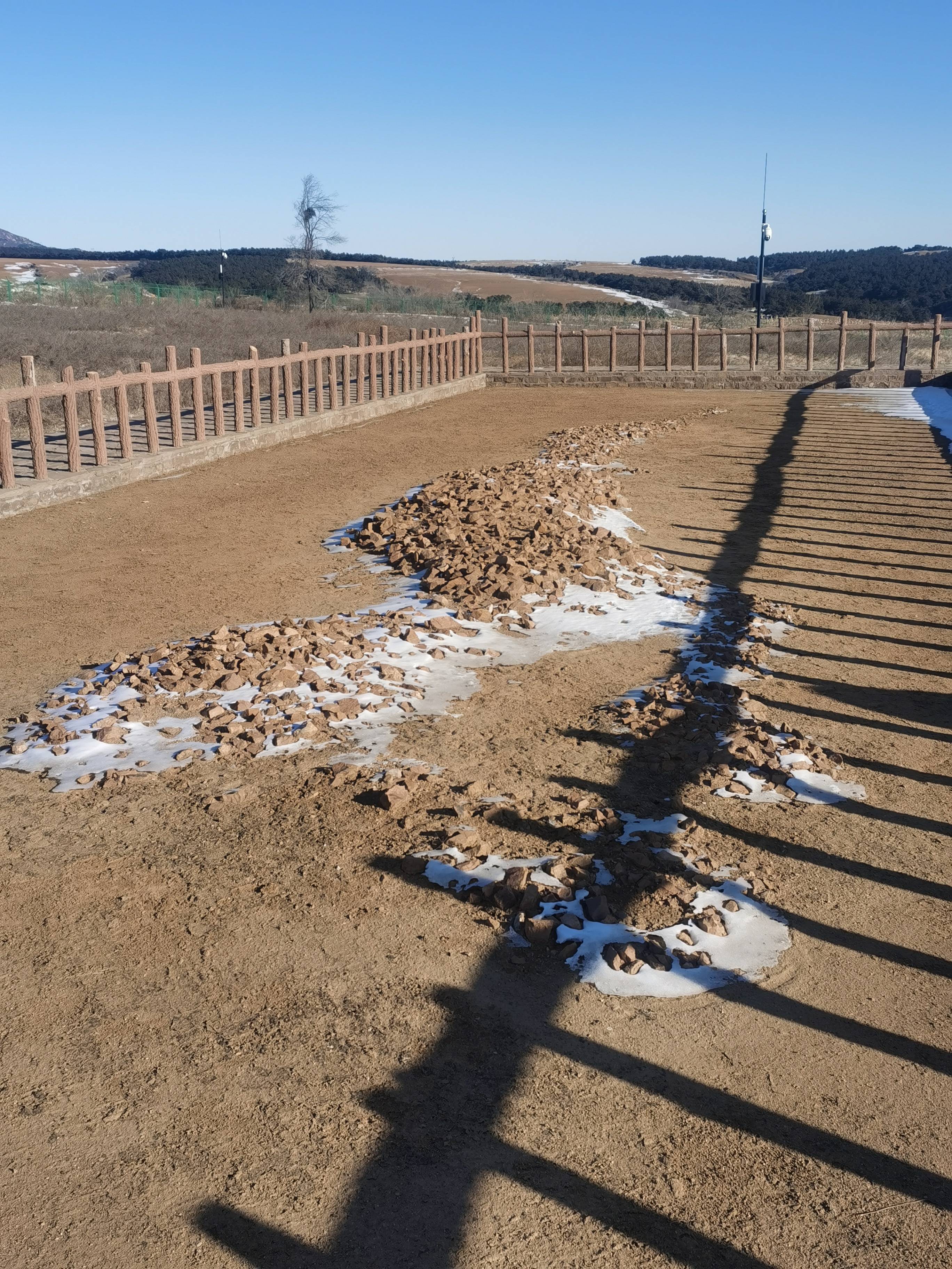 查海遗址出土中华第一龙