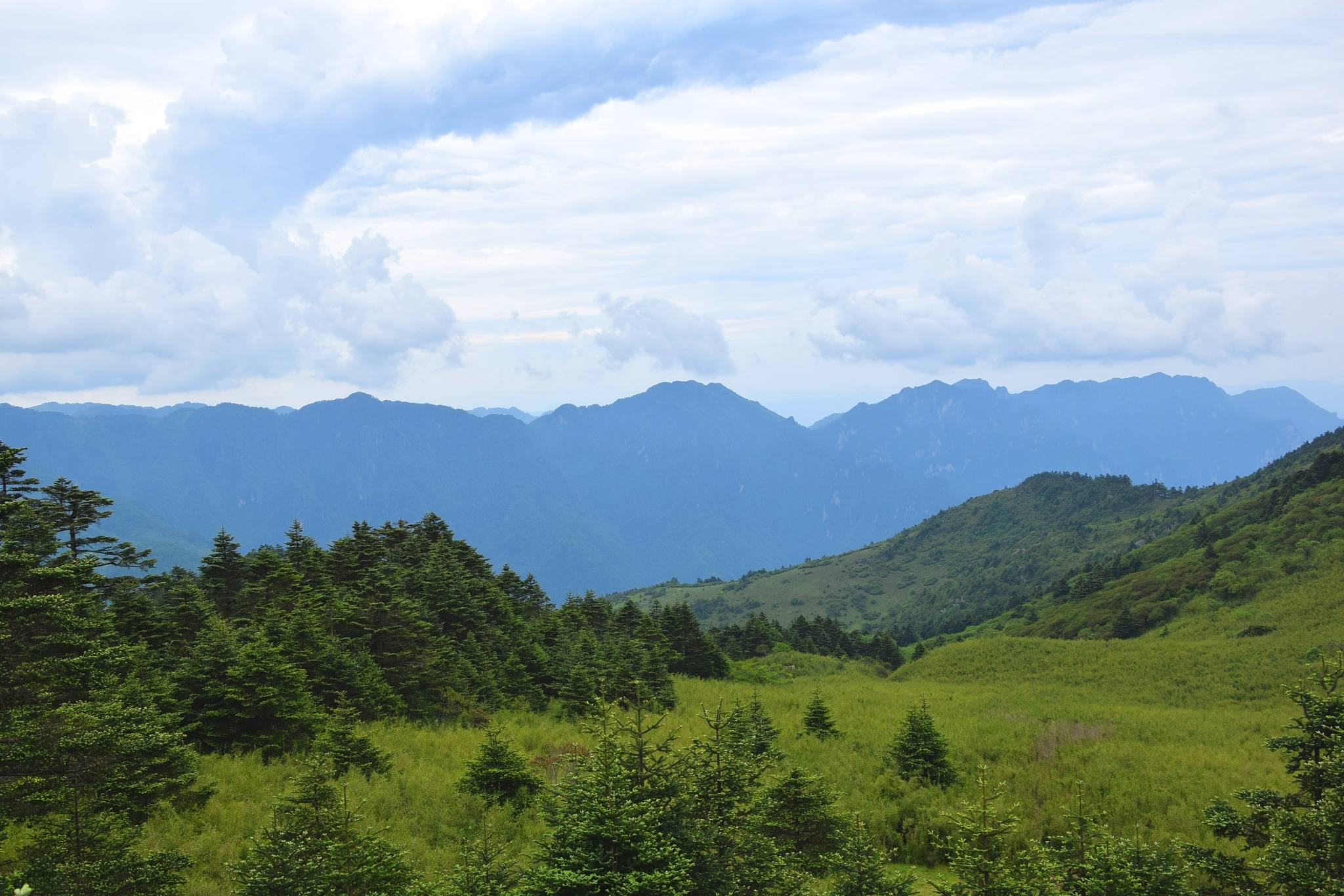 倾情湖北(二)神农架_大山