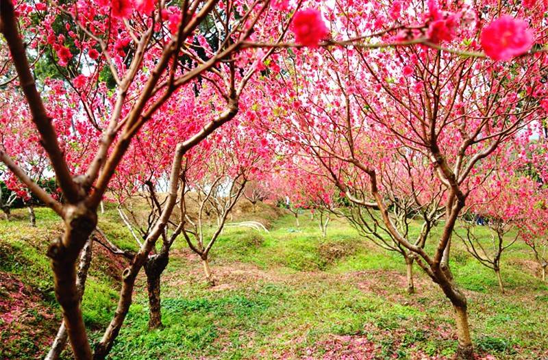 广州桃花涧风景区