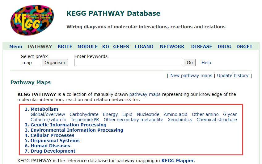 kegg通路富集分析结果挖掘攻略文末附赠if5合作文章彩蛋