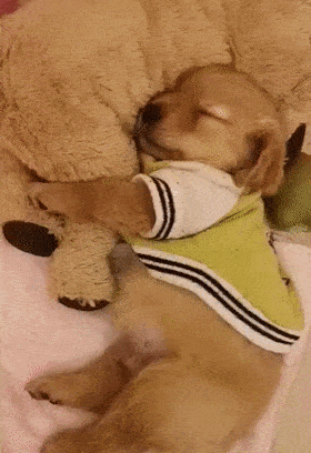280_408竖版 竖屏gif 动态图 动图