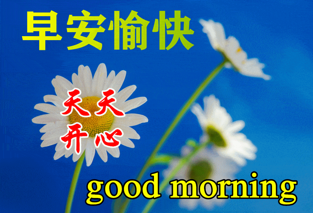 迎接七月最漂亮的早安问候祝福语大全,祝你生活处处好