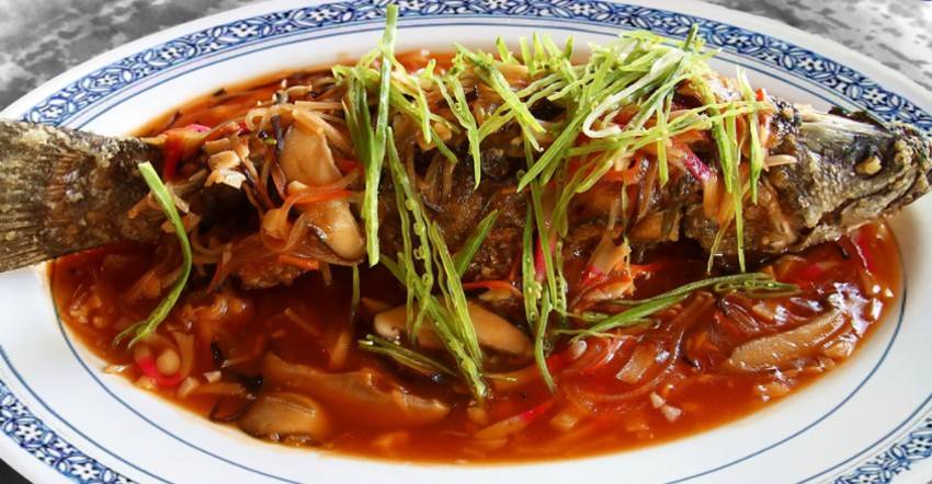 有红鸡毛店盘点史上最强吃货苏东坡发明的6道菜您吃过几道