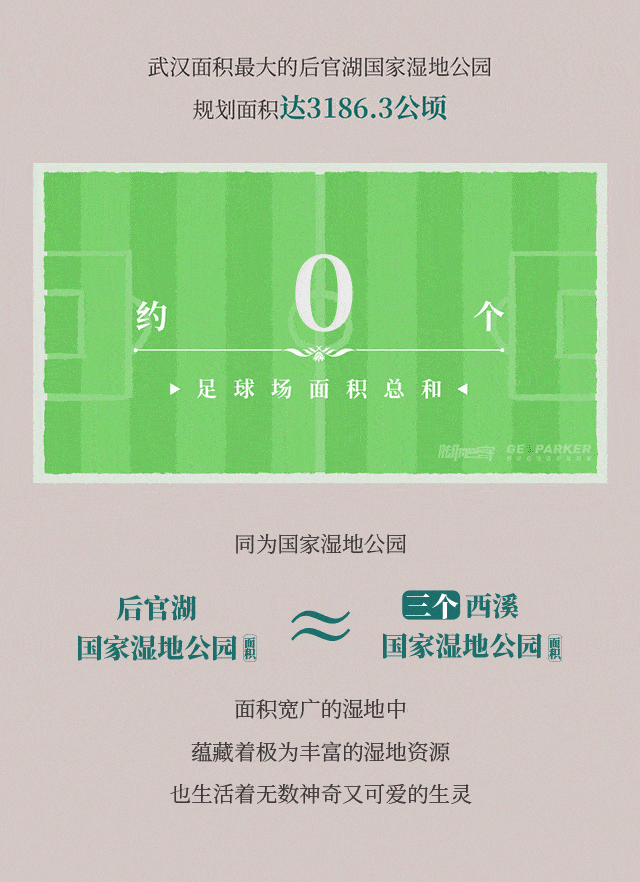 25个作品 撰稿:阿圈 插画:林佰川  动效:龙少洋 设计排版:林佰川 编辑