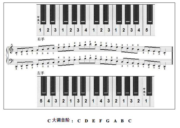 学钢琴丨音阶,琶音,和弦的指法巧记忆