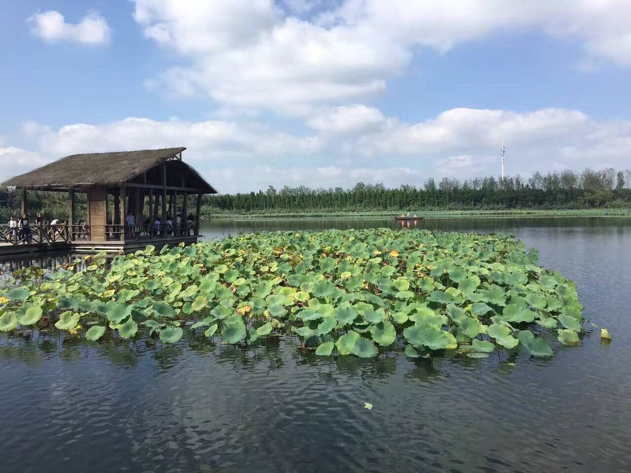 溱湖国家湿地公园_姜堰