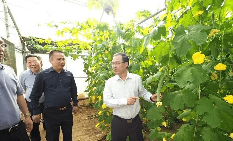 孙建省:15年前闯荡迪拜,靠在沙漠种菜发家致富,如今供不应求