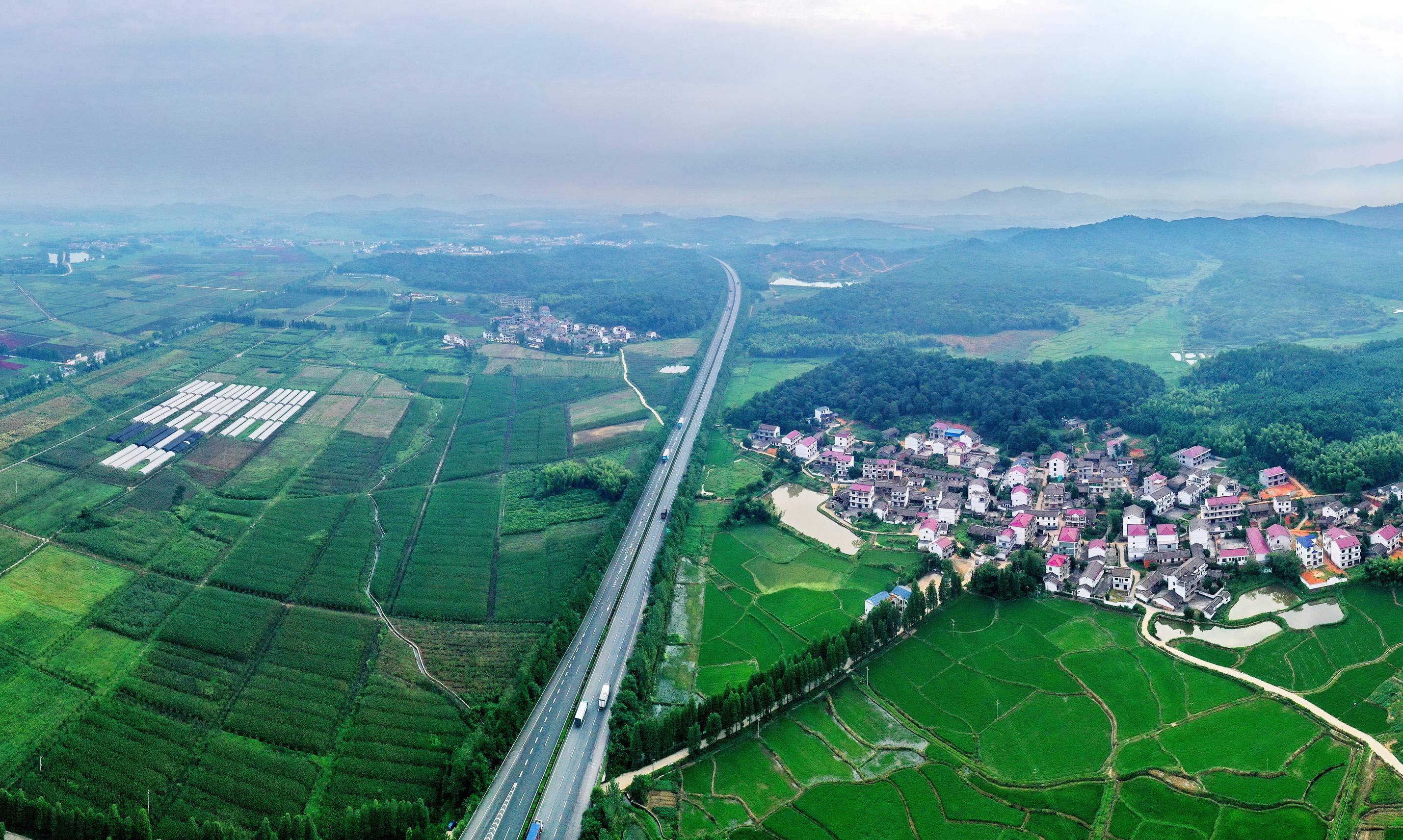 江西金溪:路畅景美(组图)