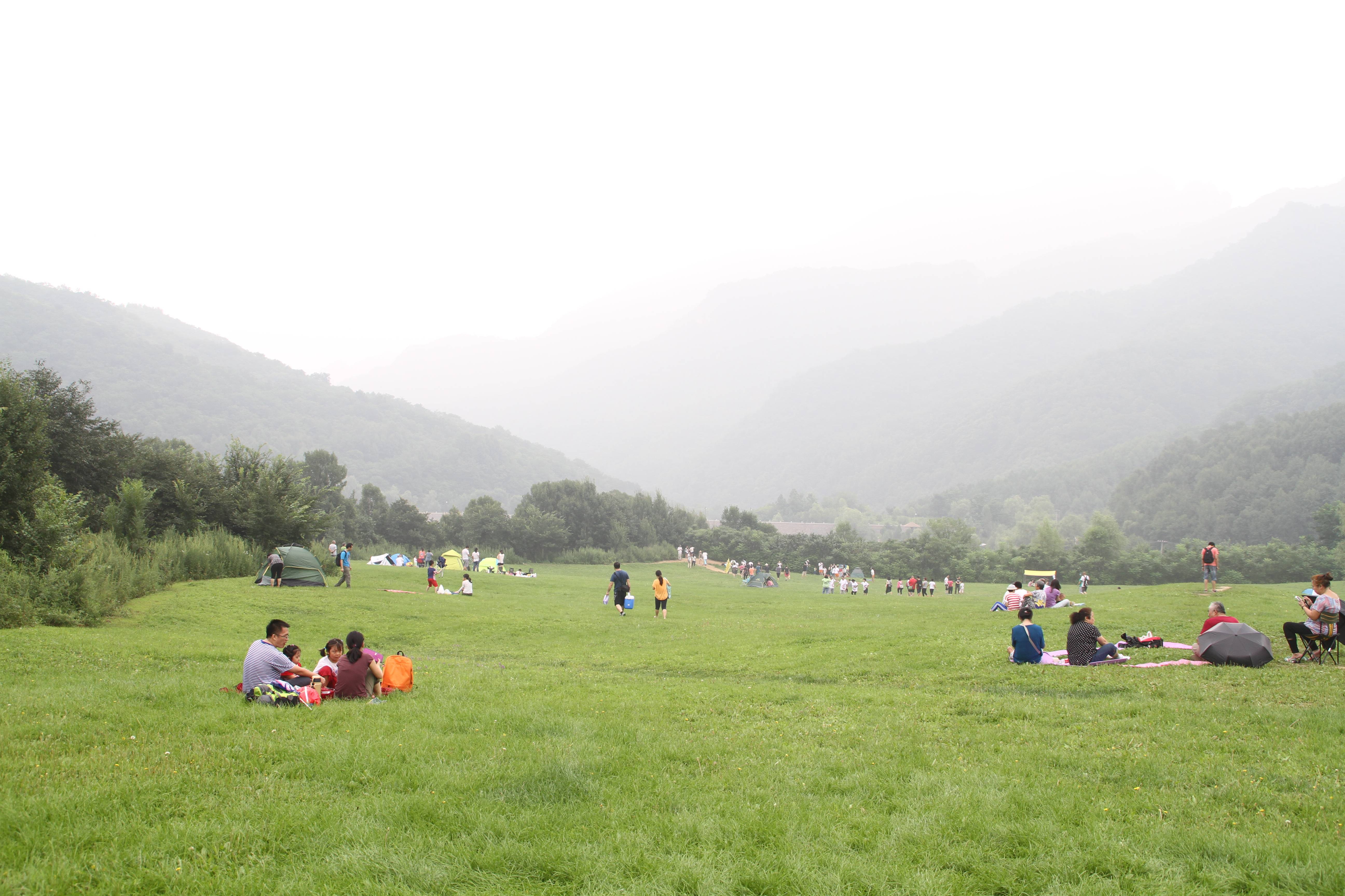 延庆的玉渡山风景区有个很美的忘忧湖和高山草甸