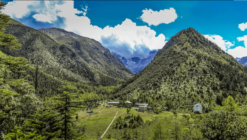 白马雪山国家级自然保护区原始森林 曾智慧/摄