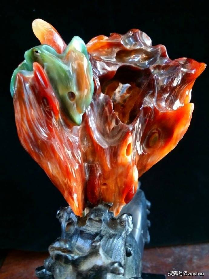 一些树化玉欣赏