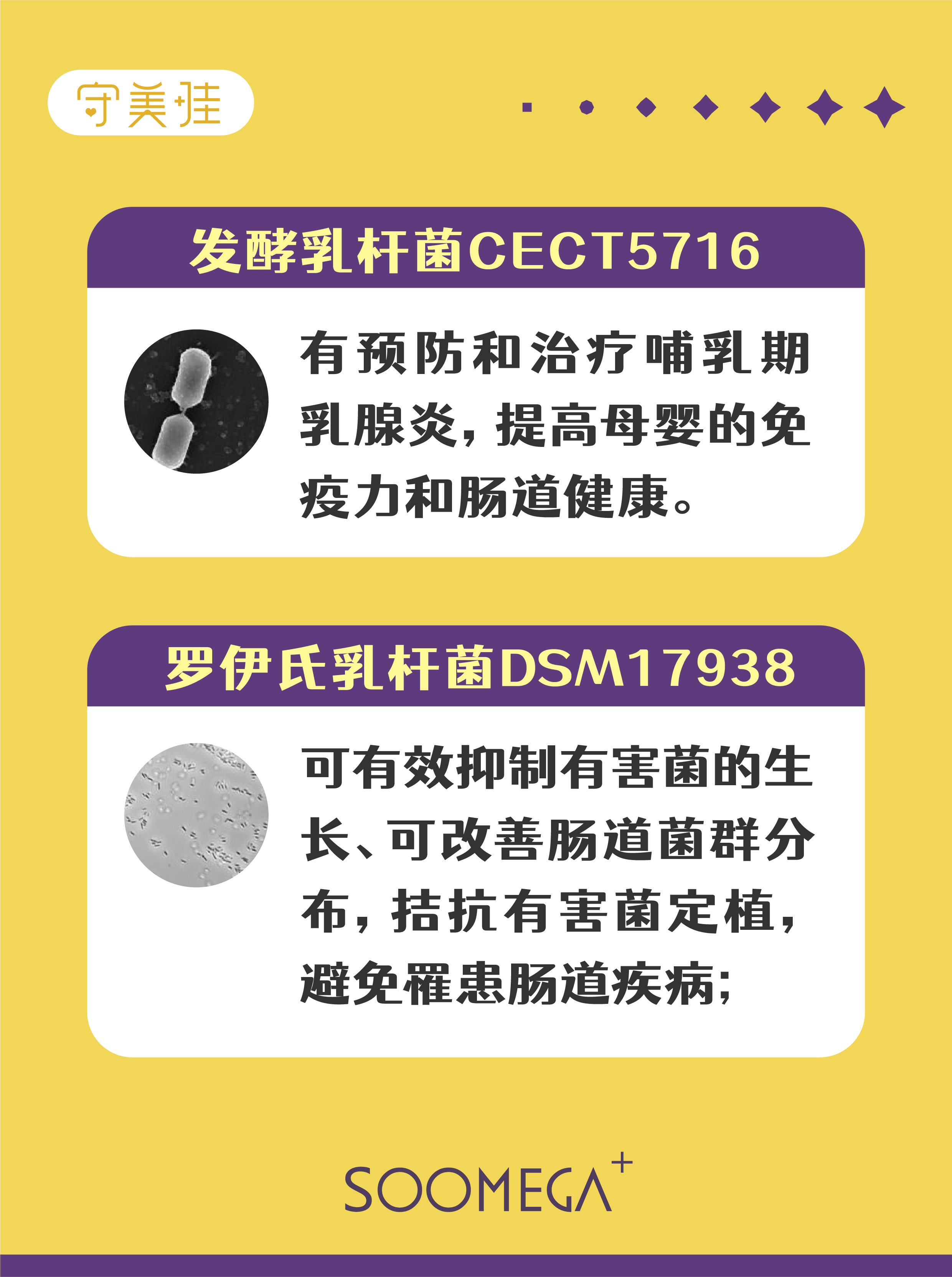 发酵乳杆菌cect5716