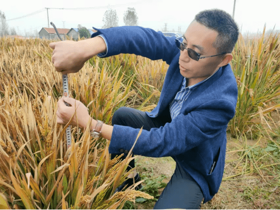 临沂24小时讯(松泽 萧淑允 传涛)春种一粒栗,秋收万颗子.