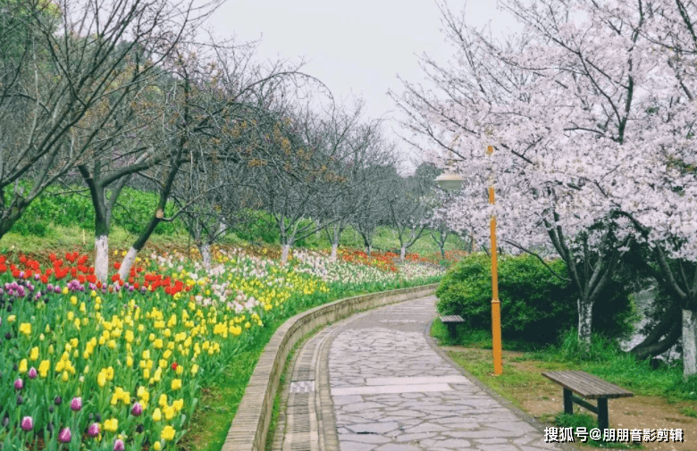 走进湖南省森林植物园,感受大自然的魅力_世界_长沙