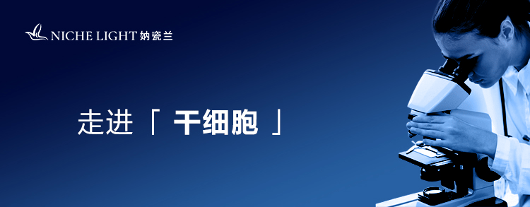 妠瓷兰干细胞产业当下与未来国产细胞药物在国外定价近300万元