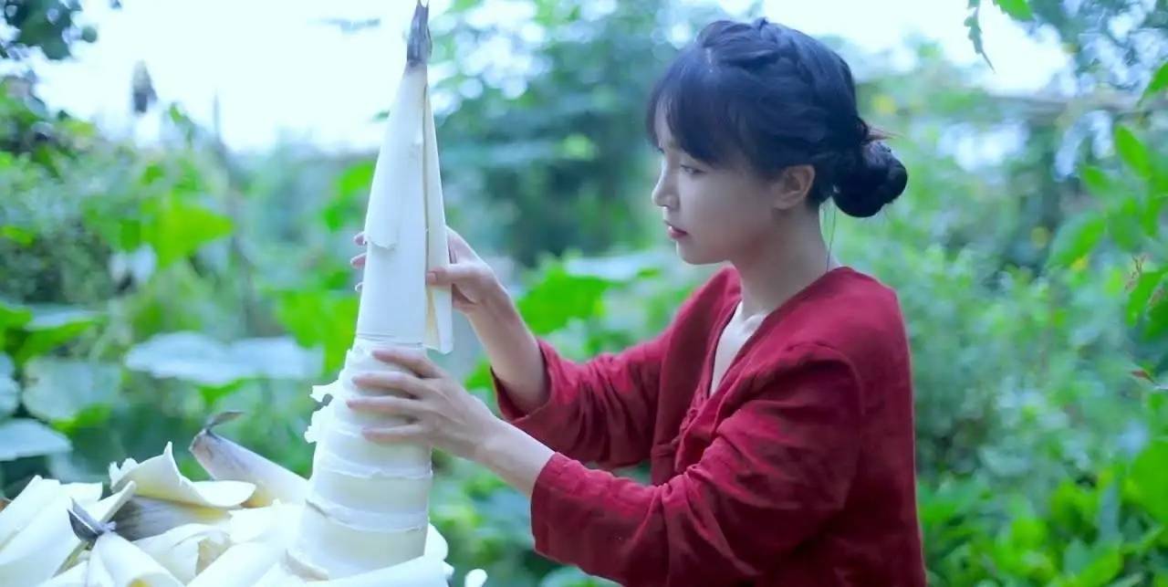 网红李子柒经典照片合集