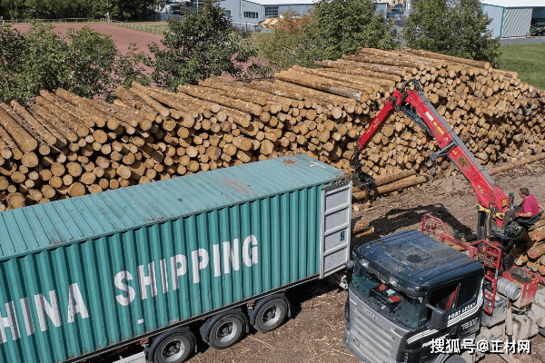 不仅能源危机，欧洲木材市场还有大量针叶材流失！
