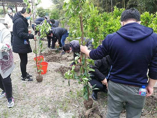 上海春季团建一日游保举长兴岛植树摘草莓骑行玩耍活动