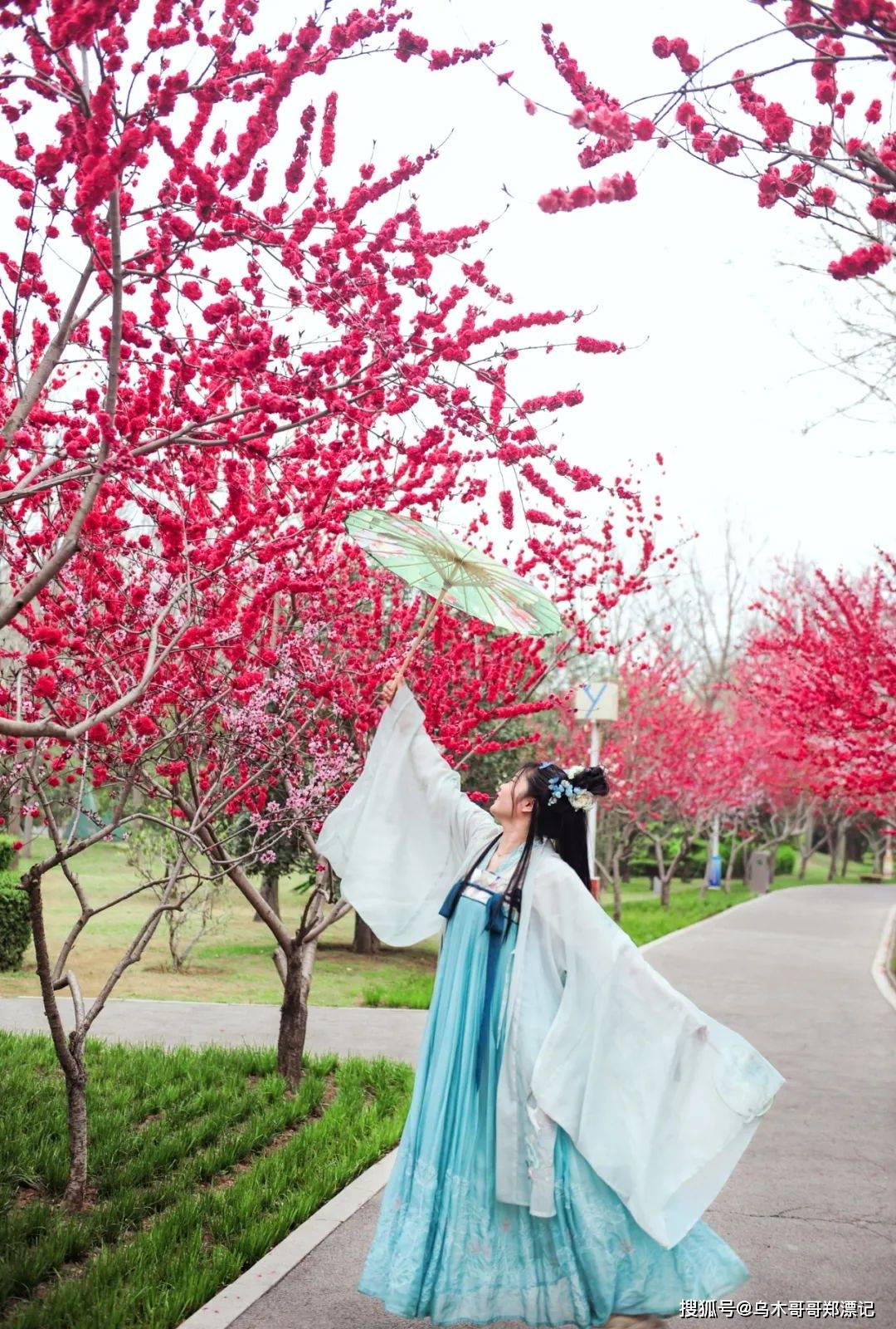 3月18日郑州绿博园问花节美意启幕！