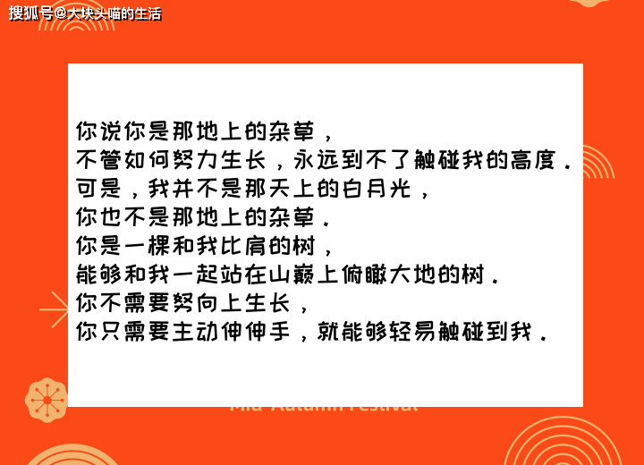 小说保举古言穿越美食文《县令大人实香了》烈女怕缠郎