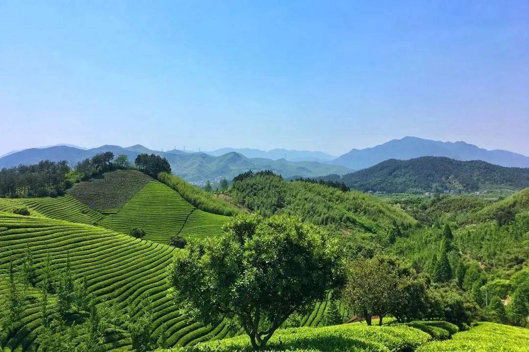 余杭青山村，“数字游民”的归属地