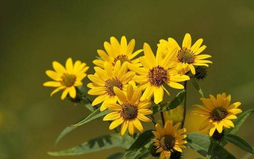 长春工业大学成人高考本科报名条件要求(长春工业大学成人教育学院官网)