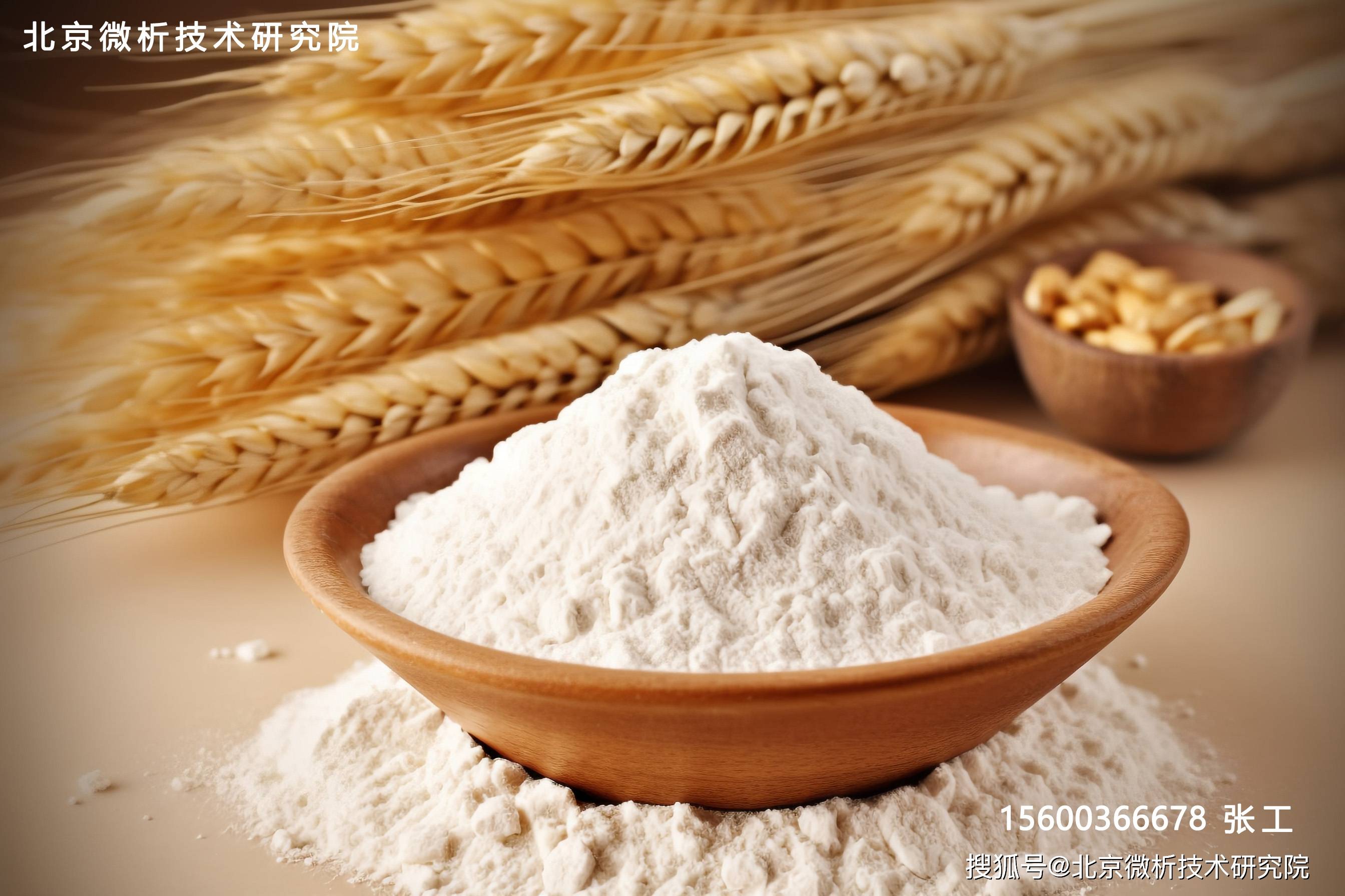 小麦粉面粉检测