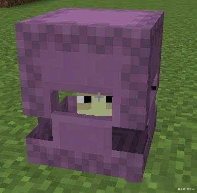 14fbbb547e0e4b4fab49045a3250974b.jpeg