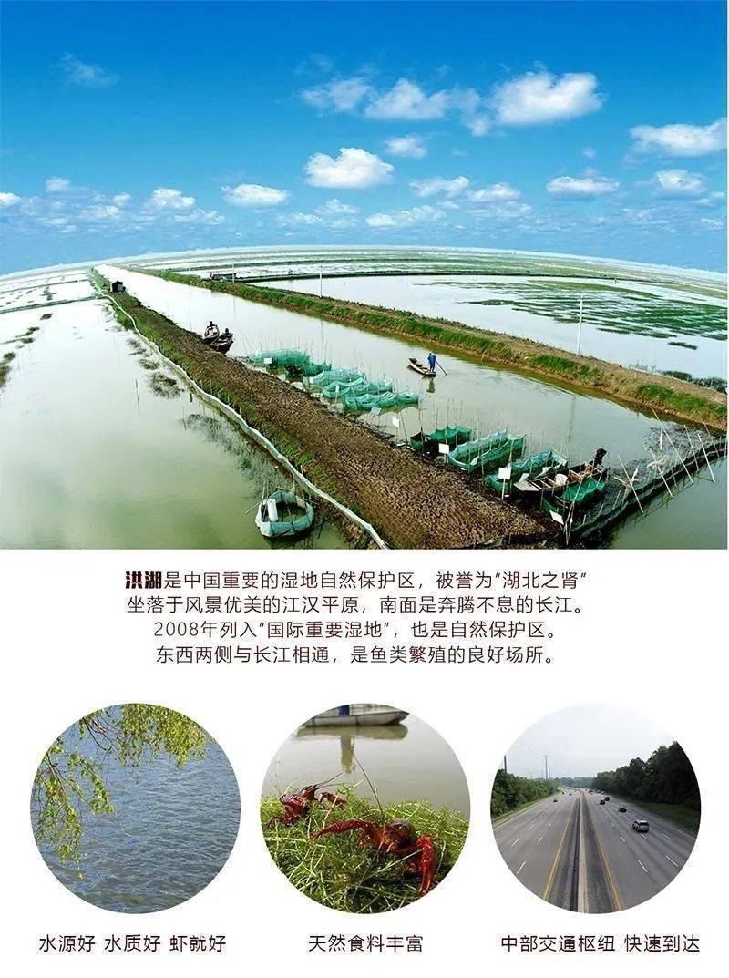 福建身人口_福建人口密度图
