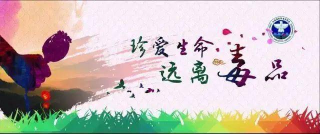 《禁毒法》颁布实施12周年,拒绝毒品,远离毒品,从我做起