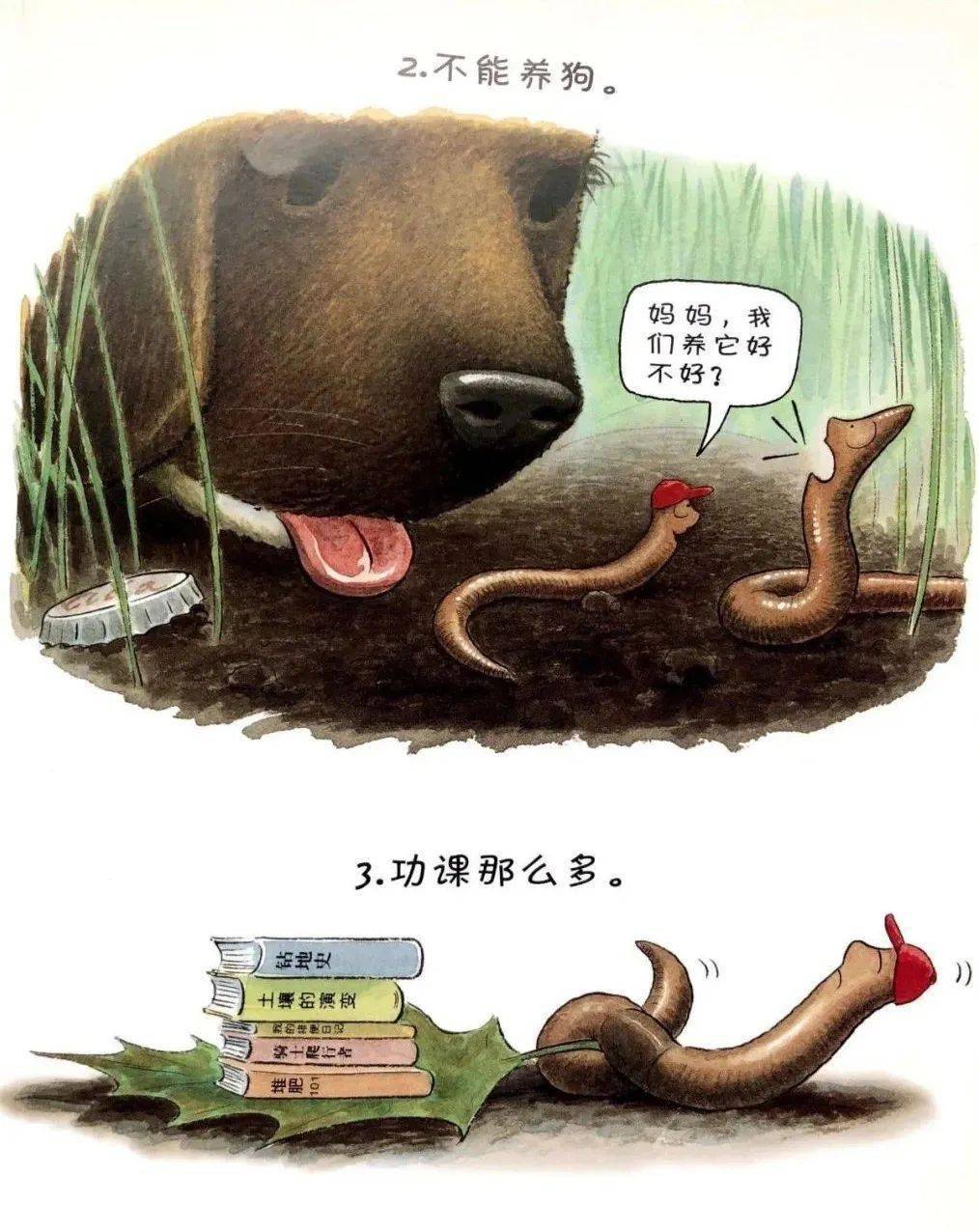 绘本分享《蚯蚓的日记》
