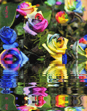 300_380 竖版 竖屏