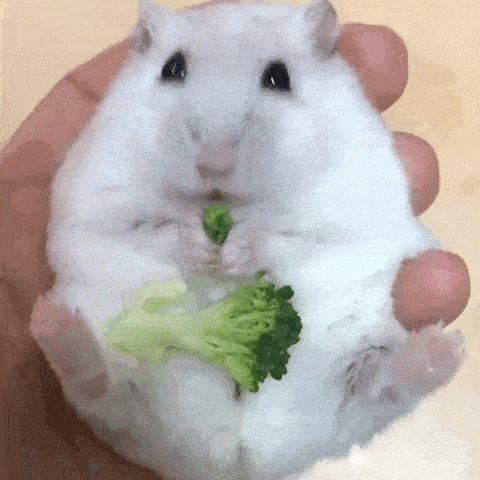 57ea62d27eae41d39407df44fbb9f2a9.gif