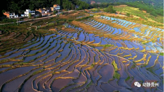 摆榜梯田