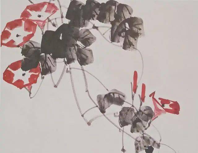 国画技法花鸟教程牵牛花的画法