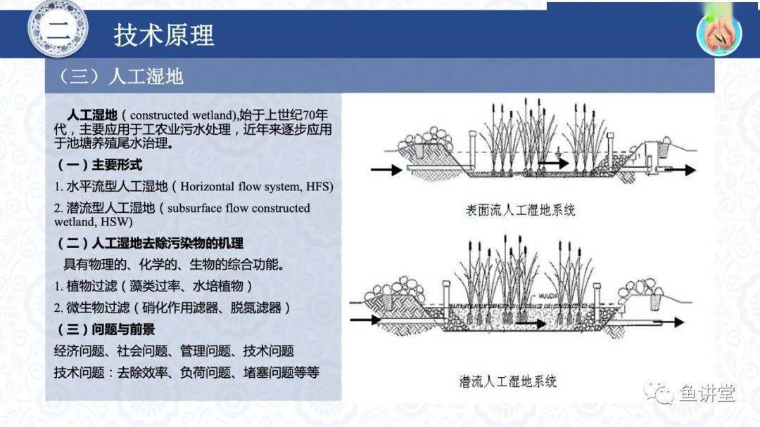 尾水问题有救了多级人工湿地净水技术